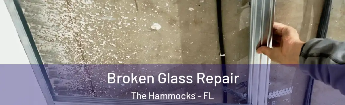 Broken Glass Repair The Hammocks - FL