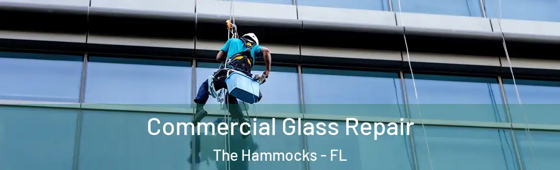 Commercial Glass Repair The Hammocks - FL