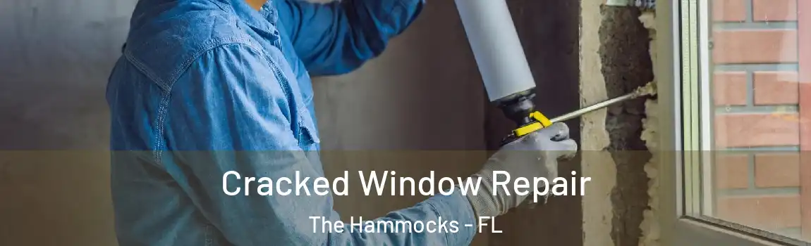 Cracked Window Repair The Hammocks - FL