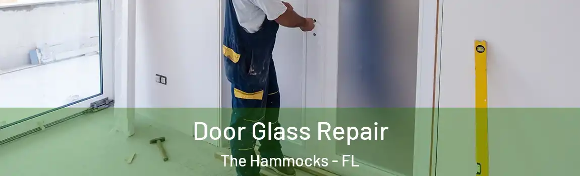 Door Glass Repair The Hammocks - FL