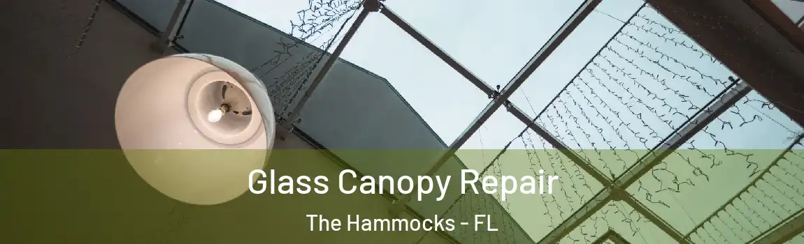 Glass Canopy Repair The Hammocks - FL