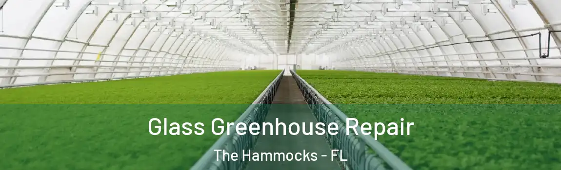 Glass Greenhouse Repair The Hammocks - FL