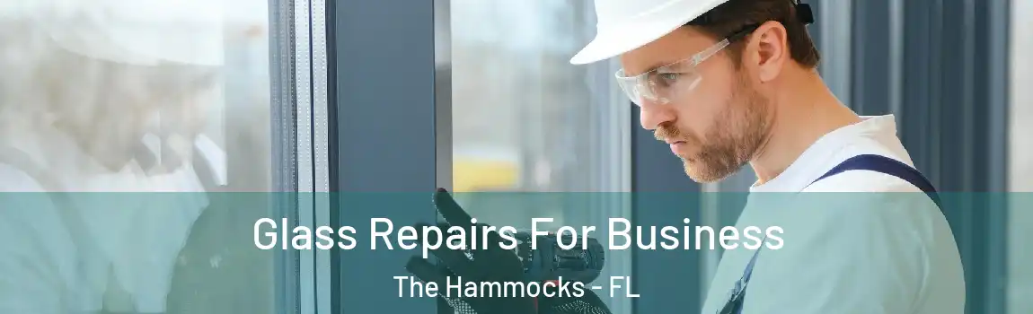 Glass Repairs For Business The Hammocks - FL