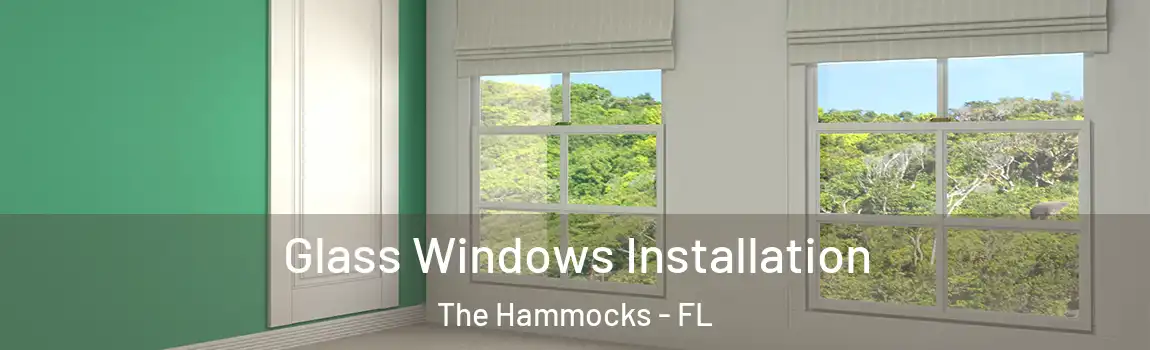 Glass Windows Installation The Hammocks - FL