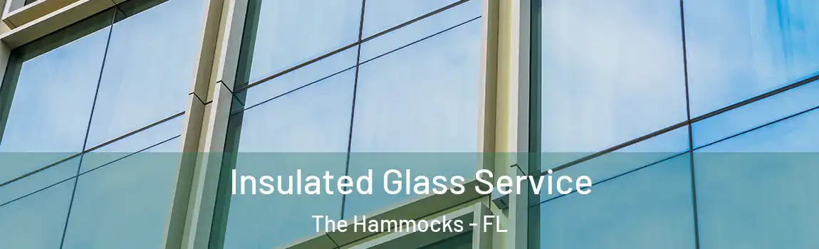 Insulated Glass Service The Hammocks - FL