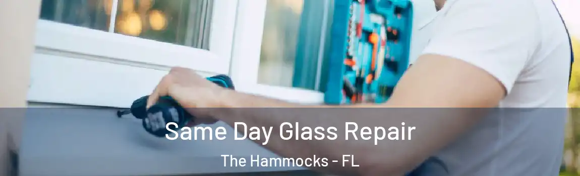 Same Day Glass Repair The Hammocks - FL