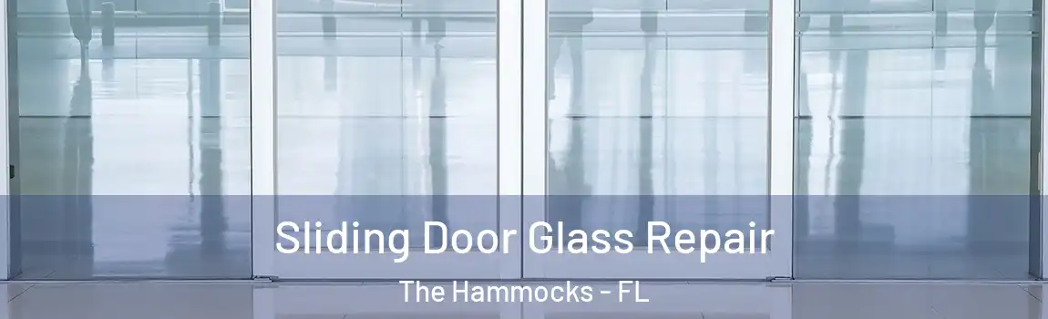Sliding Door Glass Repair The Hammocks - FL