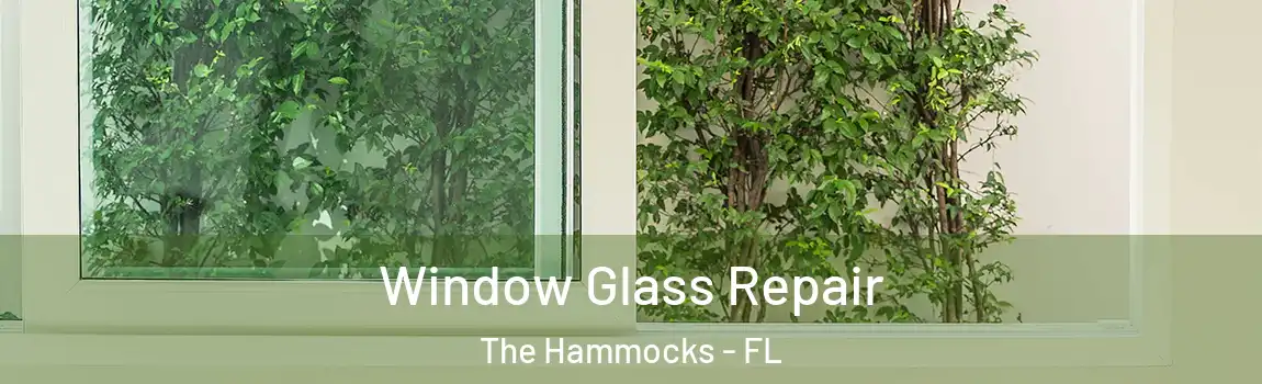 Window Glass Repair The Hammocks - FL