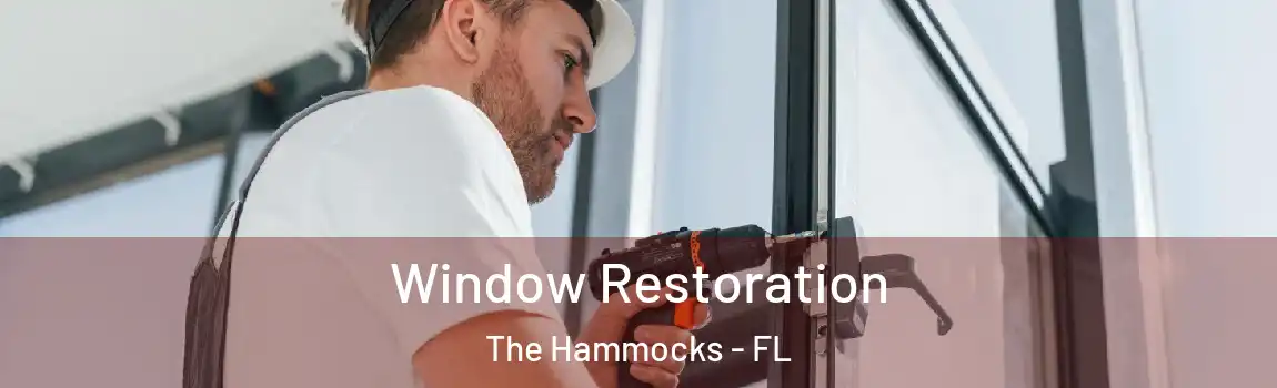Window Restoration The Hammocks - FL