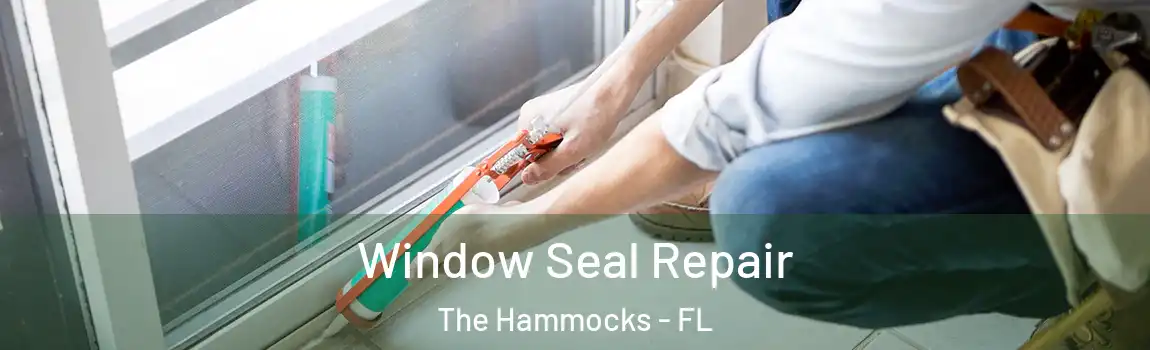 Window Seal Repair The Hammocks - FL